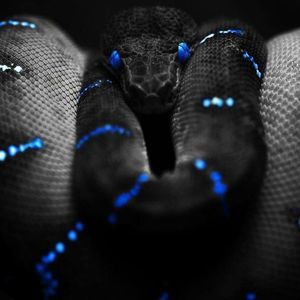 Meet your Posher, Greg